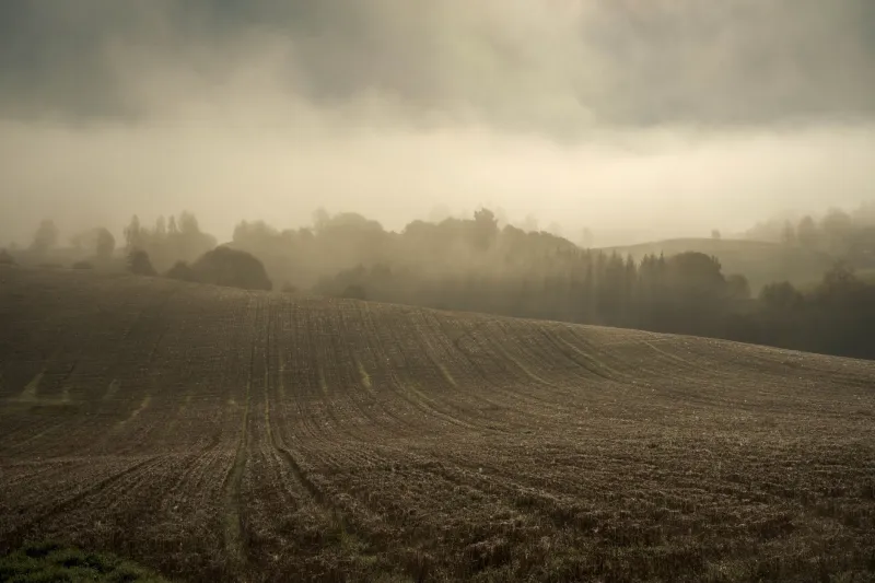 Selling Stillness: The Small Towns Turning Peace and Quiet Into a Real Business
